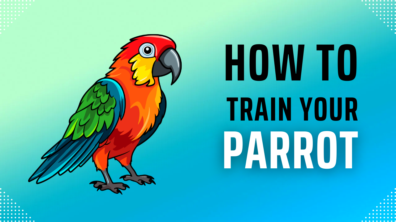 How to train your Parrot