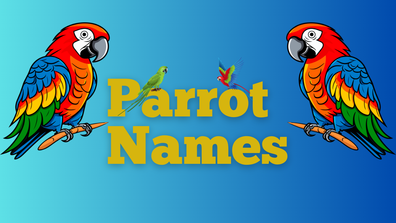 parrot names