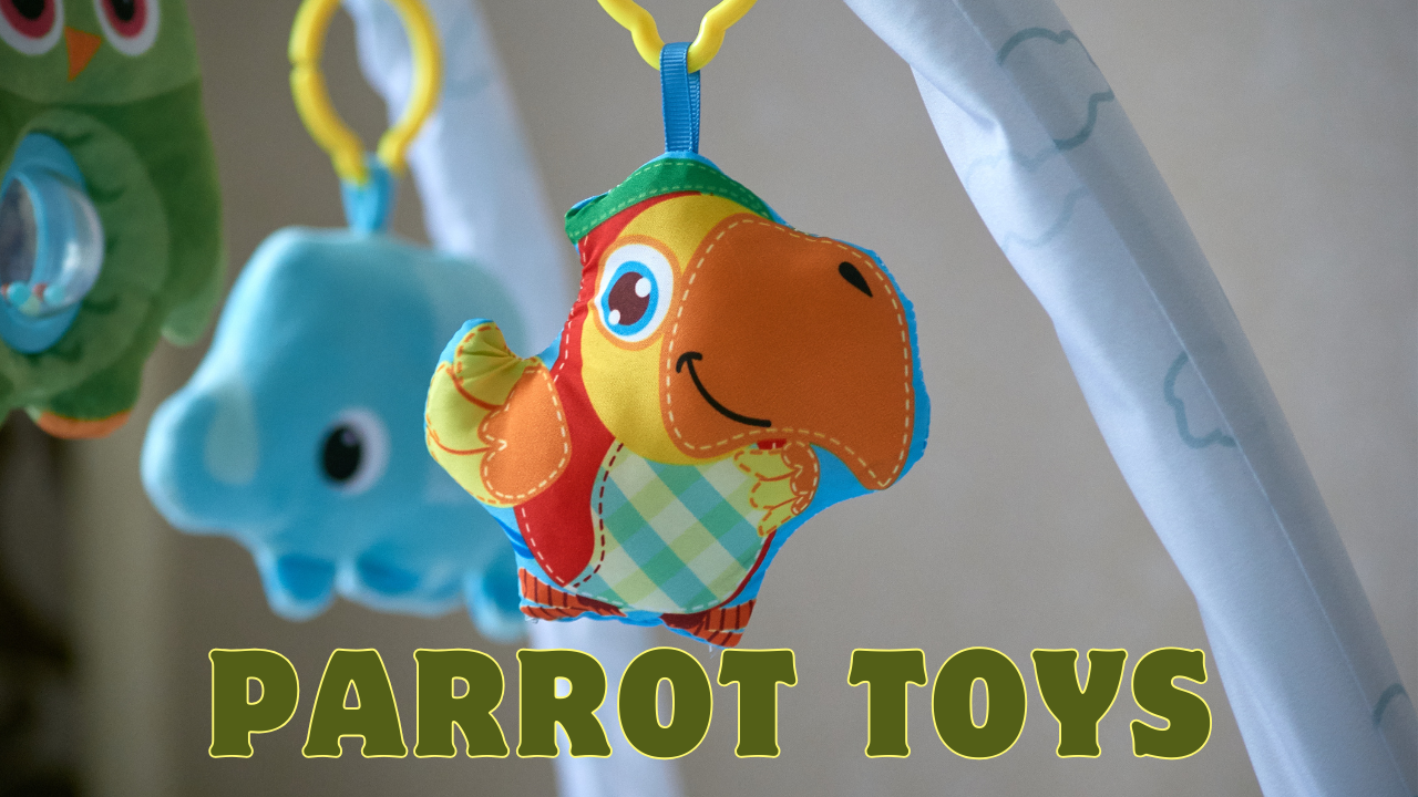 parrot toys